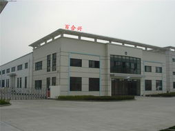 魔術(shù)貼 深圳市龍崗區(qū)東興塑膠制品廠的運動護具創(chuàng)新解決方案